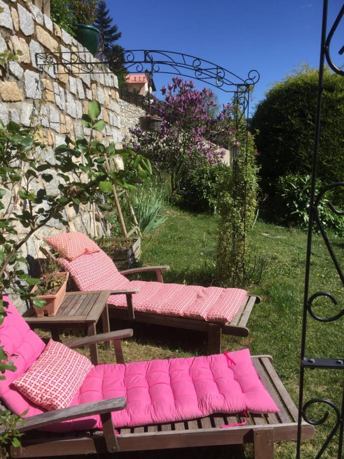 Rez De Jardin De Chalet Bois , Calme Et Verdure ! Saint-Martin-Vésubie Exterior foto